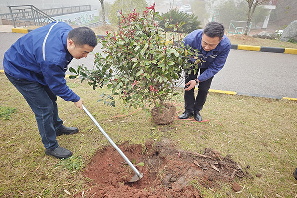 種植樹(shù)苗600X400.jpg